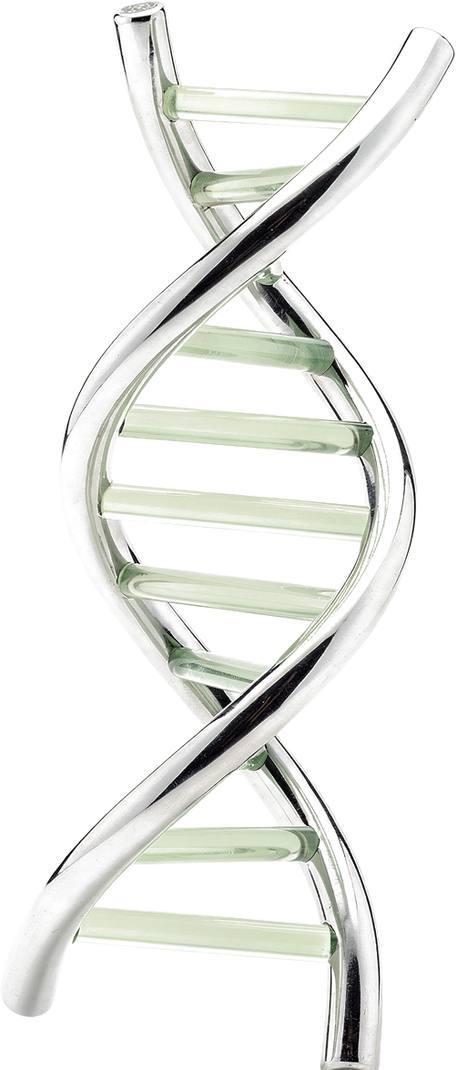 Glass rendering of a peptide chain